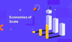 Economies of Scale
