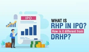 How to Read an IPO RHP